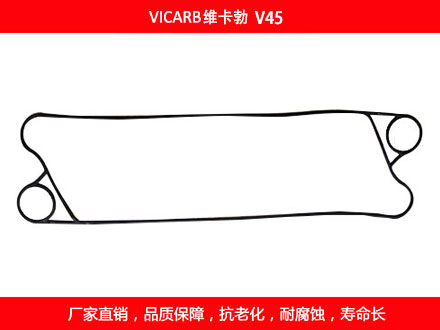 V45 國產板式污在线视频观看密封墊片