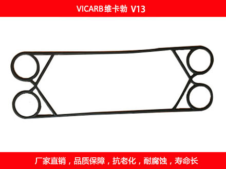V20 國產板式污在线视频观看密封墊片