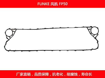 FP50 國產板式污在线视频观看密封墊片