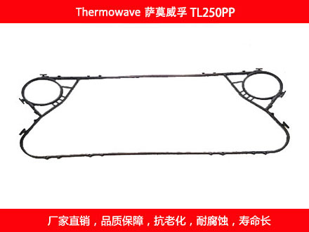 TL250PP 國產板式污在线视频观看密封墊片