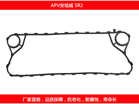 SR2 國產板式污在线视频观看密封墊片