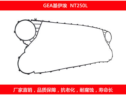 NT250L 國產板式污在线视频观看密封墊片