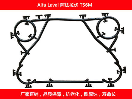 TS6M 國產板式污在线视频观看密封墊片