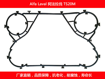 TS20M 國產板式污在线视频观看密封墊片