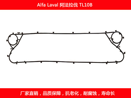 TL10B 國產板式污在线视频观看密封墊片