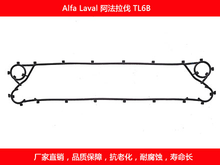 TL6B 國產板式污在线视频观看密封墊片