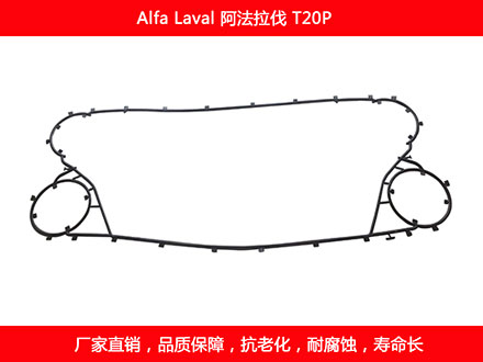 T20P 國產板式污在线视频观看密封墊片