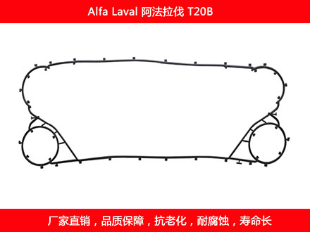T20B 國產板式污在线视频观看密封墊片