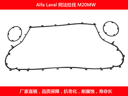 M20MW 國產板式污在线视频观看密封墊片