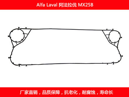MX25B 國產板式污在线视频观看密封墊片