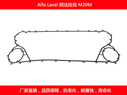 M20M 國產板式污在线视频观看密封墊片