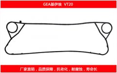 VT20 國產板式污在线视频观看密封墊片