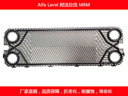 M6M 國產板式污在线视频观看密封墊片