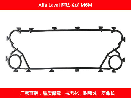 M6M 國產板式污在线视频观看密封墊片
