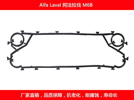 M6B 國產板式污在线视频观看密封墊片